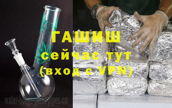 молекула духа Гусев
