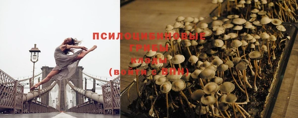 тгк Гусиноозёрск