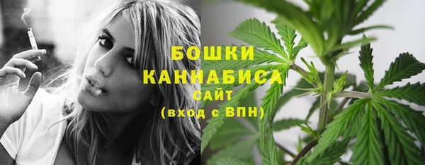 тгк Гусиноозёрск